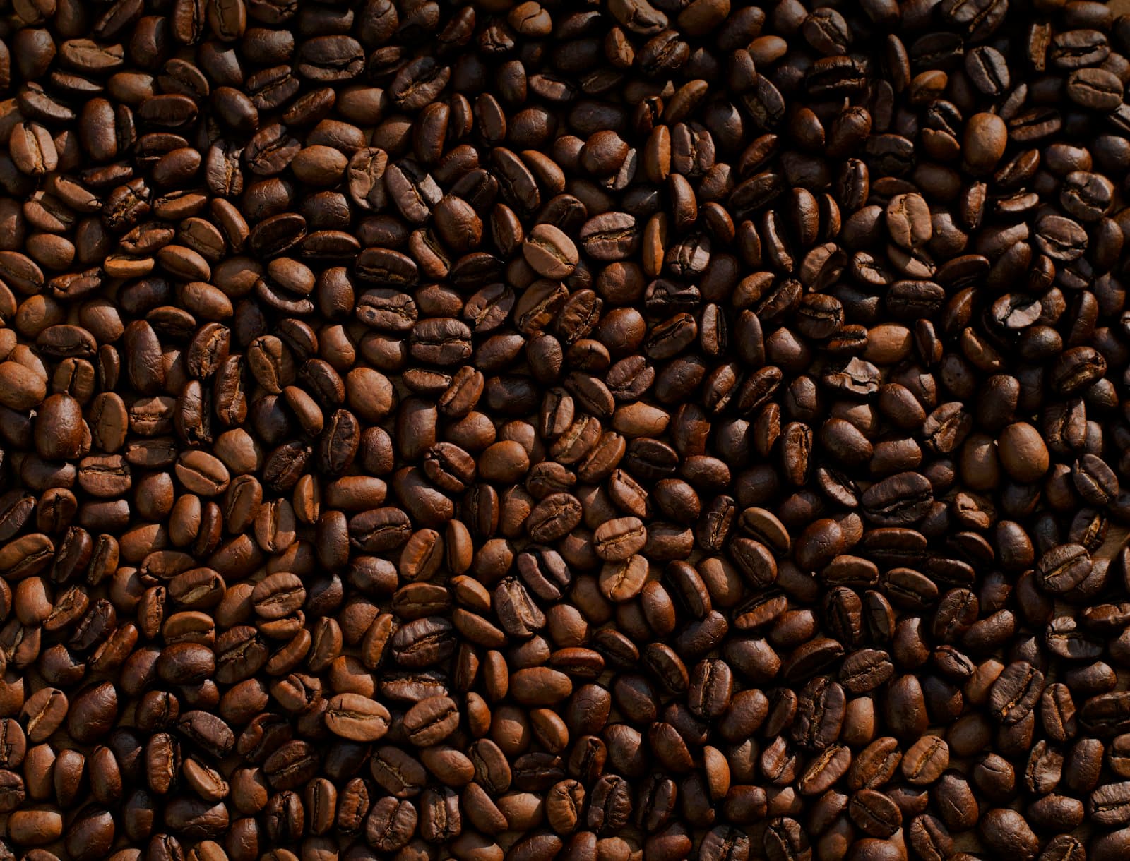 Highland Roasted Coffee Beans (250g)