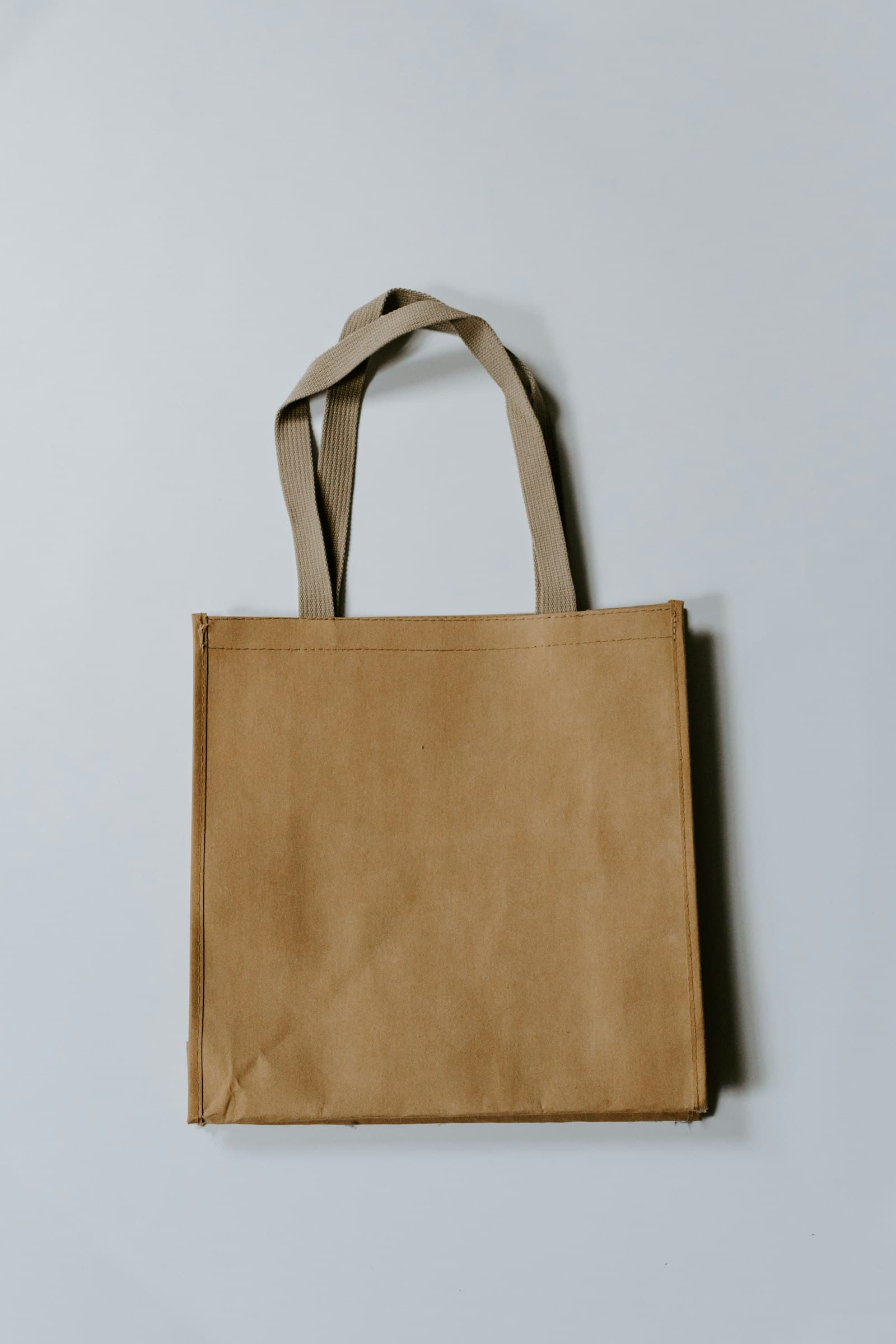 Reclaimed Kraft Tote Bag